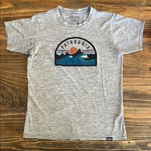 Patagonia Gray Scenic Graphic Short Sleeve Tee